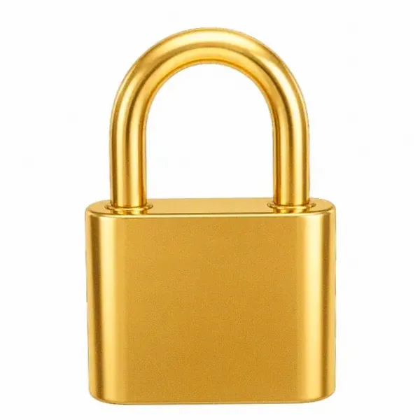 Orange padlock — Vox