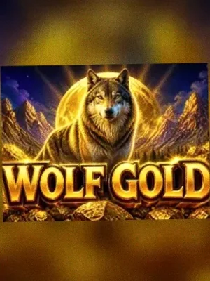 Wolf Gold at Vox