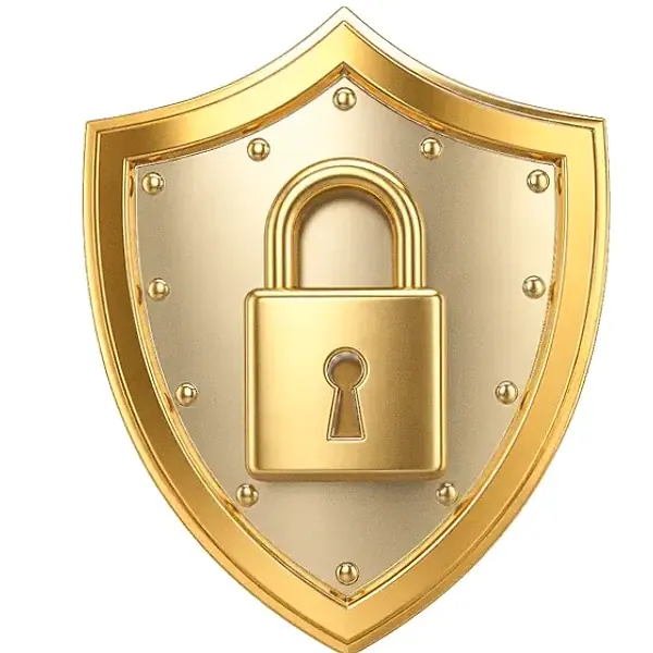 Shield with padlock — Vox