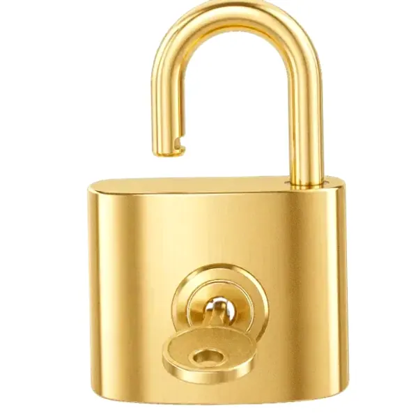 Open padlock — Vox
